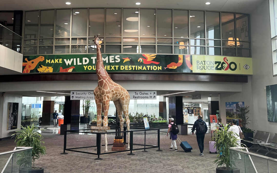 Baton Rouge Zoo, Arrivals Domination – BTR