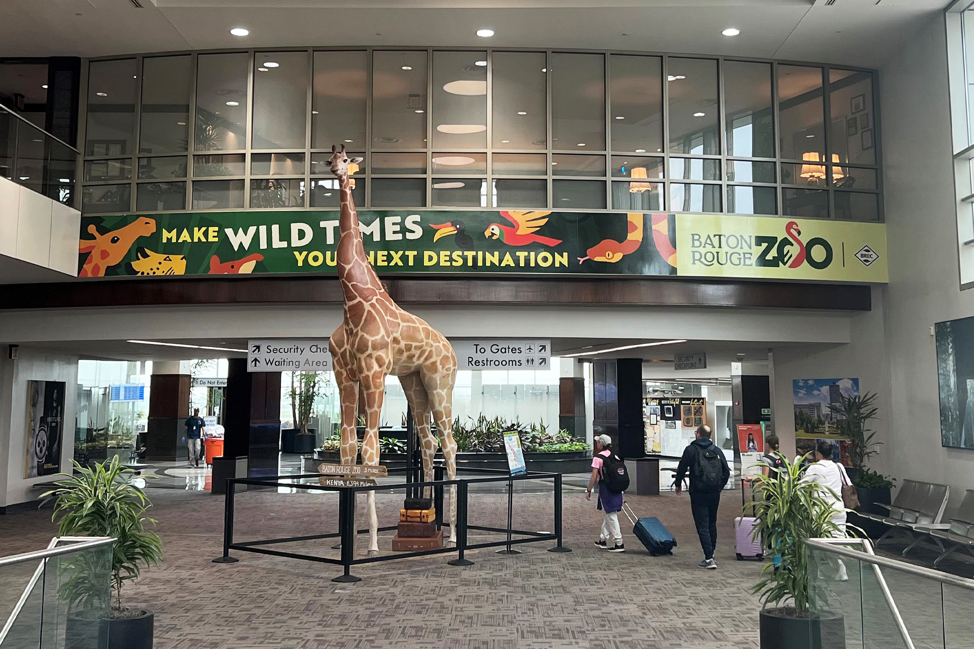 Baton Rouge Zoo, Arrivals Domination – BTR