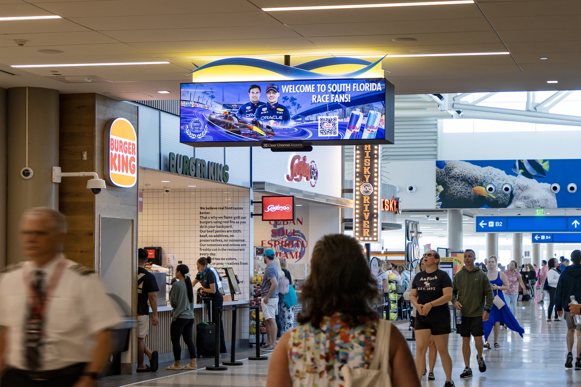 Direct View Network – FLL