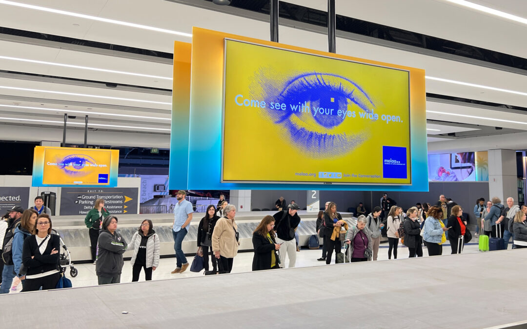 Molaa, Arrivals Digital Network – LGB